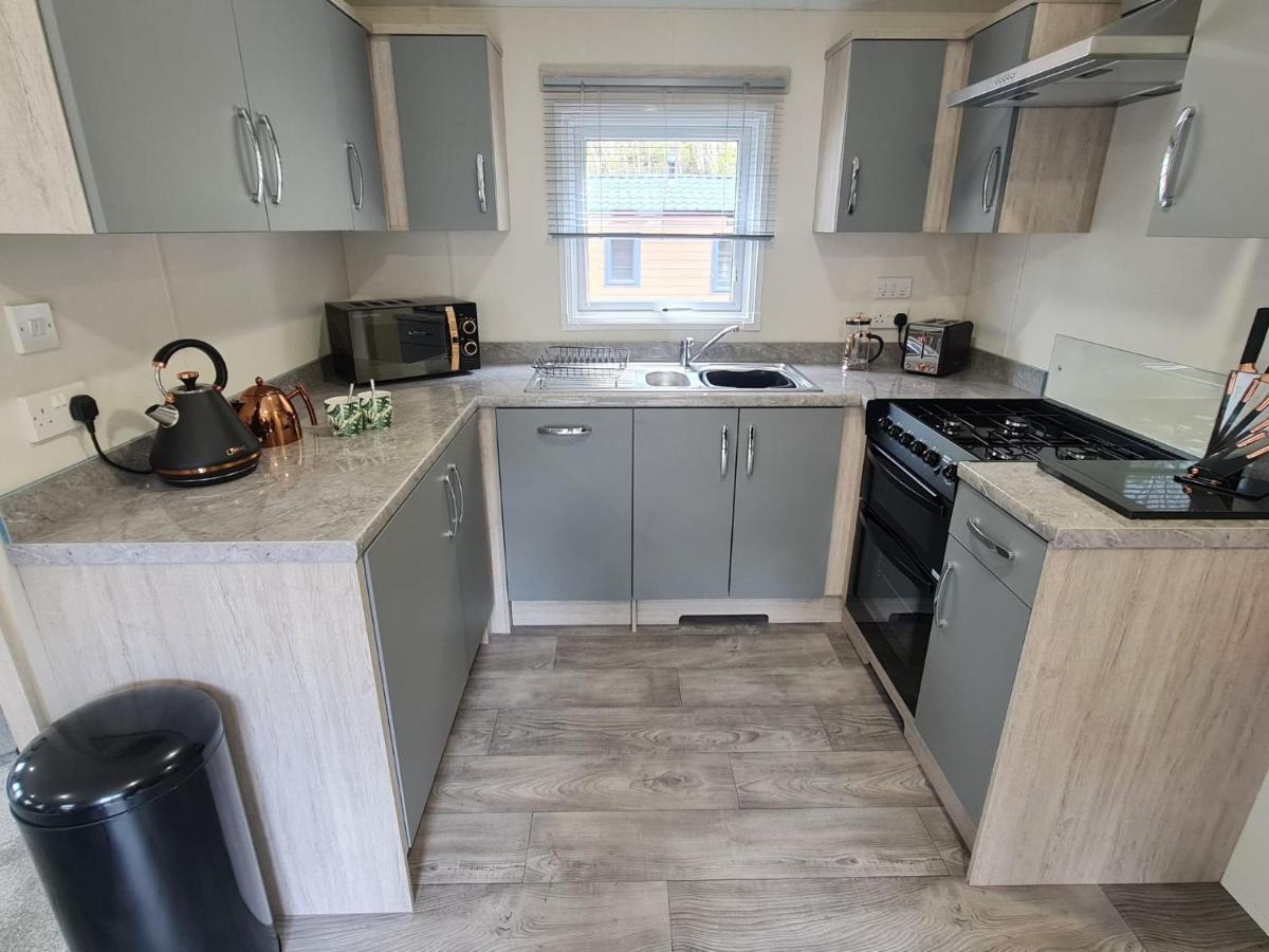 The Ceredigion - Plot 26, Woodlands Lodge Retreat, New Quay, West Wales Llanina Exteriör bild